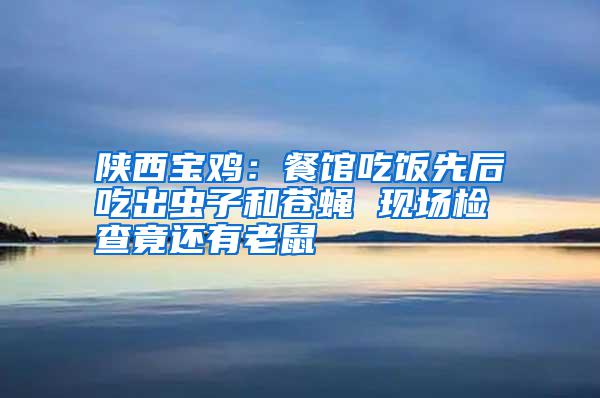 陜西寶雞：餐館吃飯先后吃出蟲子和蒼蠅 現場檢查竟還有老鼠