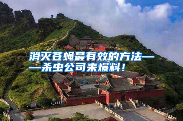 消滅蒼蠅最有效的方法——?dú)⑾x公司來爆料！