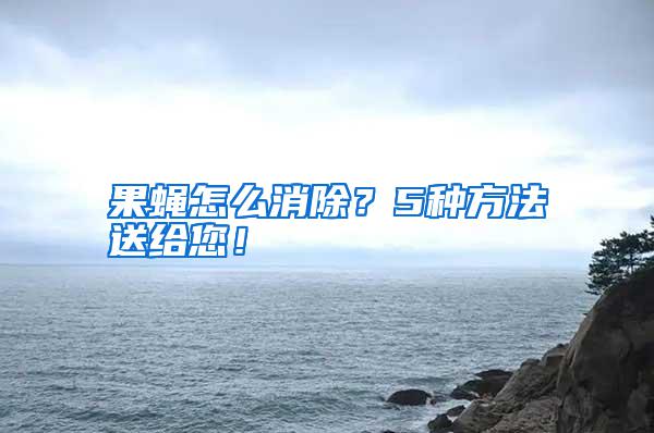 果蠅怎么消除?5種方法送給您!