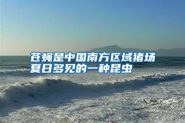 蒼蠅是中國南方區域豬場夏日多見的一種昆蟲