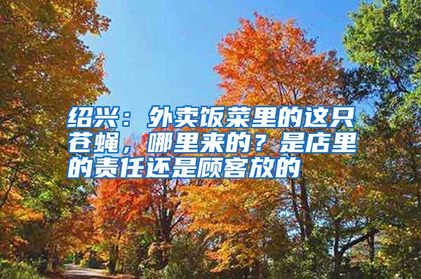 紹興:外賣飯菜里的這只蒼蠅,哪里來的?是店里的責(zé)任還是顧客放的