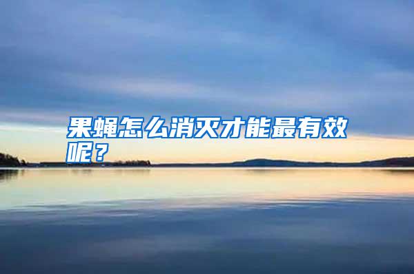 果蠅怎么消滅才能最有效呢?