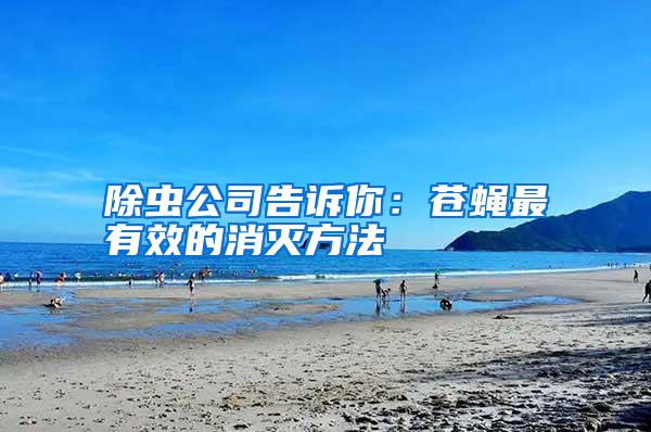 除蟲公司告訴你:蒼蠅最有效的消滅方法