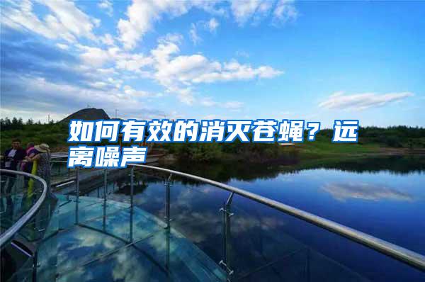 如何有效的消滅蒼蠅?遠離噪聲