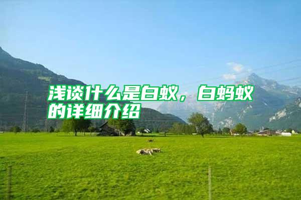 淺談什么是白蟻，白螞蟻的詳細介紹