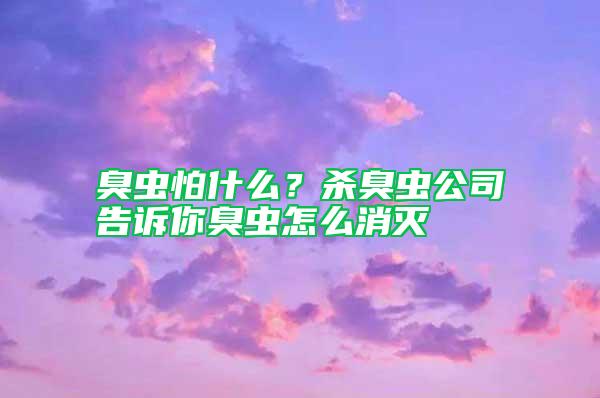 臭蟲怕什么？殺臭蟲公司告訴你臭蟲怎么消滅