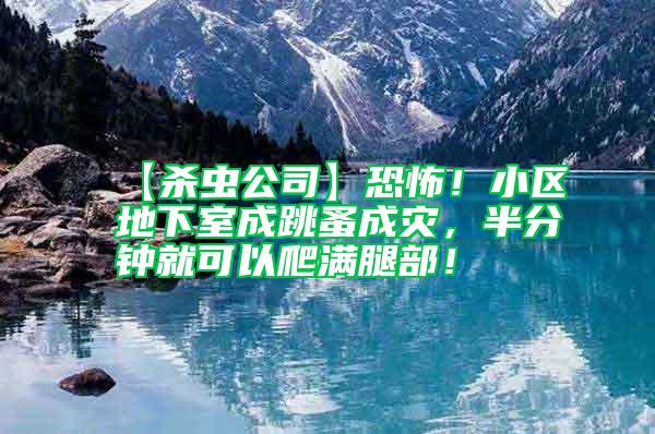 【殺蟲公司】恐怖!小區(qū)地下室成跳蚤成災(zāi),半分鐘就可以爬滿腿部!