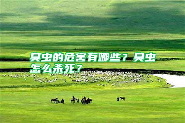 臭蟲的危害有哪些？臭蟲怎么殺死？