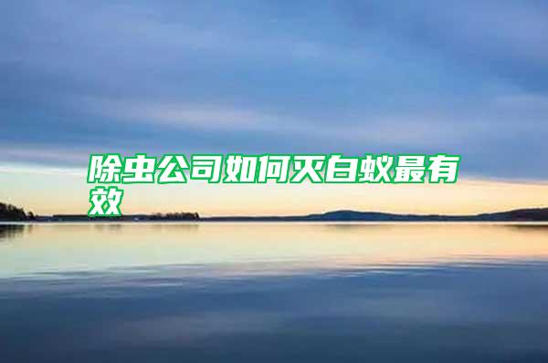 除蟲(chóng)公司如何滅白蟻?zhàn)钣行?/></p>
             <p style=