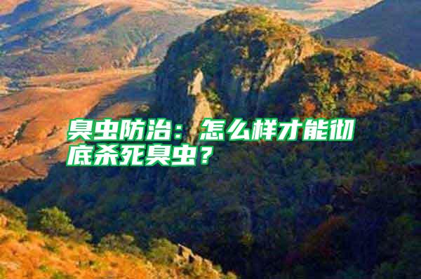 臭蟲防治:怎么樣才能徹底殺死臭蟲?