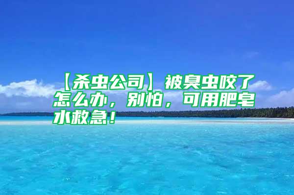 【殺蟲公司】被臭蟲咬了怎么辦，別怕，可用肥皂水救急！