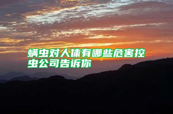 螨蟲對人體有哪些危害控蟲公司告訴你