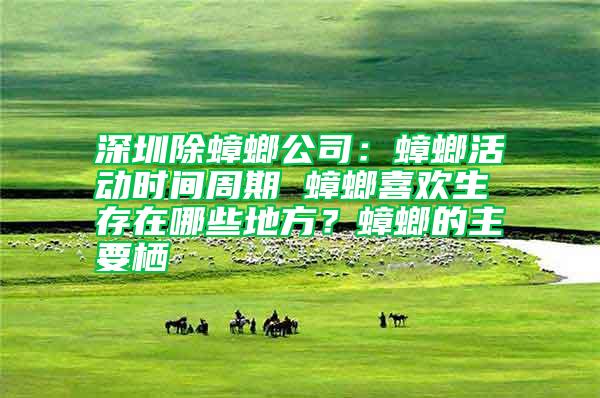 深圳除蟑螂公司：蟑螂活動時間周期 蟑螂喜歡生存在哪些地方？蟑螂的主要棲