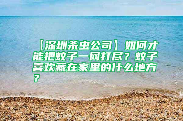【深圳殺蟲公司】如何才能把蚊子一網打盡？蚊子喜歡藏在家里的什么地方？