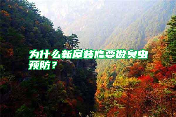 為什么新屋裝修要做臭蟲預防？