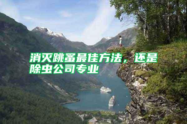 消滅跳蚤最佳方法,還是除蟲公司專業