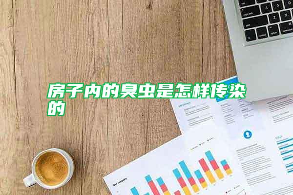 房子內(nèi)的臭蟲是怎樣傳染的
