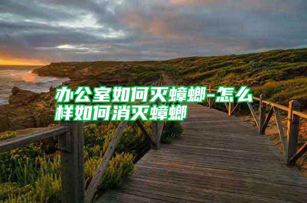 辦公室如何滅蟑螂-怎么樣如何消滅蟑螂