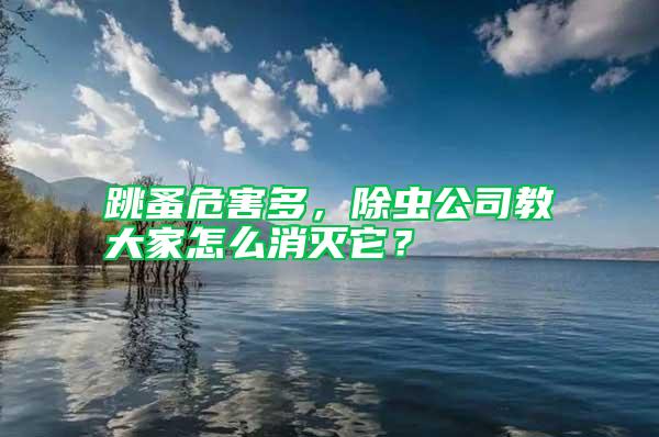 跳蚤危害多，除蟲公司教大家怎么消滅它？