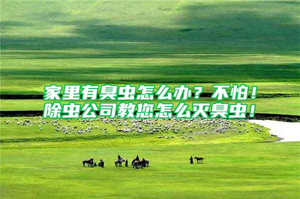 家里有臭蟲怎么辦?不怕!除蟲公司教您怎么滅臭蟲!