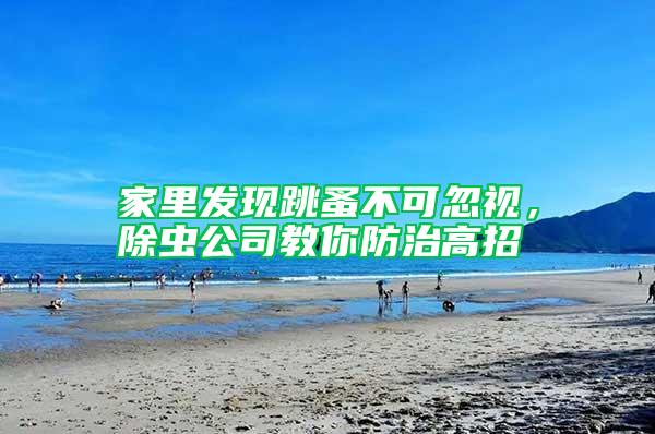 家里發(fā)現(xiàn)跳蚤不可忽視,除蟲(chóng)公司教你防治高招