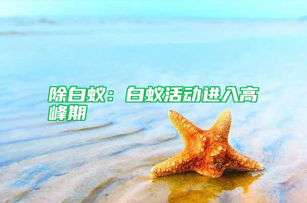 除白蟻：白蟻活動進入高峰期