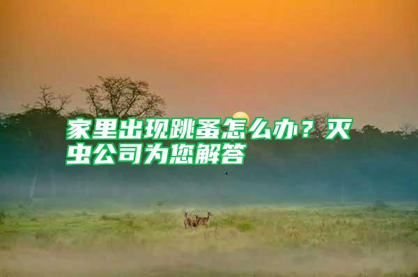 家里出現(xiàn)跳蚤怎么辦?滅蟲公司為您解答