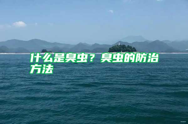 什么是臭蟲？臭蟲的防治方法