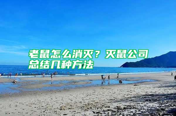 老鼠怎么消滅？滅鼠公司總結幾種方法