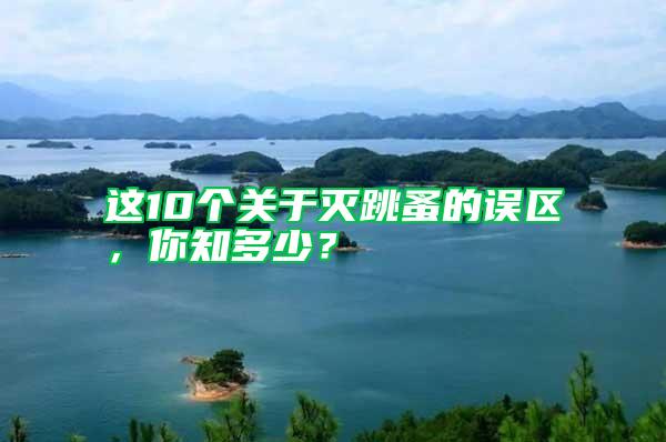 這10個關于滅跳蚤的誤區，你知多少？