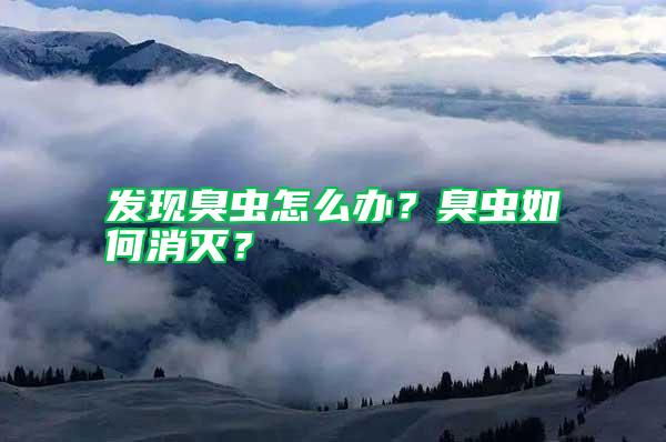 發現臭蟲怎么辦？臭蟲如何消滅？