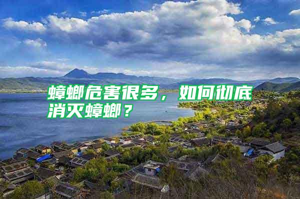 蟑螂危害很多,如何徹底消滅蟑螂?