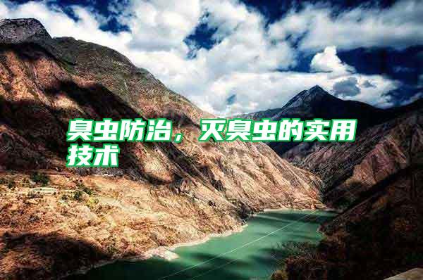 臭蟲防治,滅臭蟲的實用技術