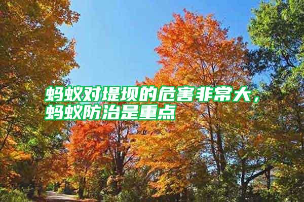 螞蟻對堤壩的危害非常大，螞蟻防治是重點