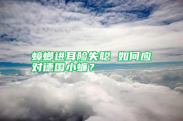 蟑螂進耳險失聰 如何應對德國小蠊？