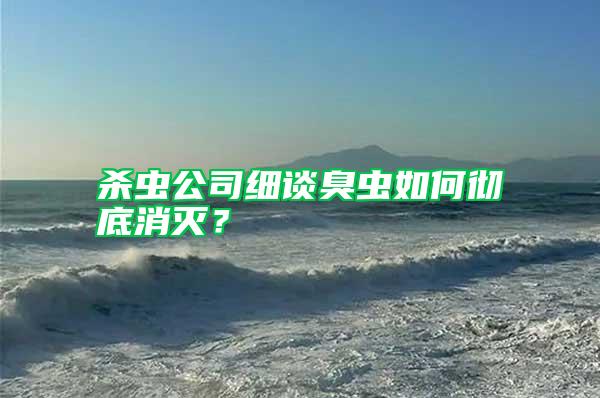 殺蟲公司細談臭蟲如何徹底消滅？
