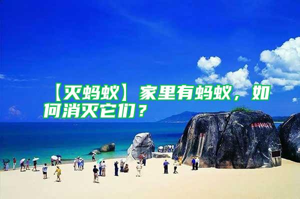 【滅螞蟻】家里有螞蟻，如何消滅它們？