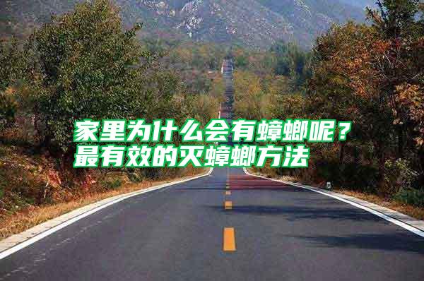 家里為什么會(huì)有蟑螂呢？最有效的滅蟑螂方法