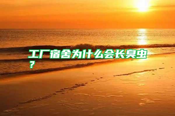 工廠宿舍為什么會(huì)長臭蟲？