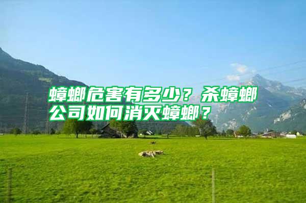 蟑螂危害有多少？殺蟑螂公司如何消滅蟑螂？