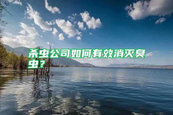 殺蟲(chóng)公司如何有效消滅臭蟲(chóng)？
