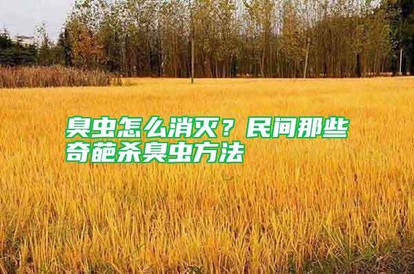臭蟲怎么消滅?民間那些奇葩殺臭蟲方法