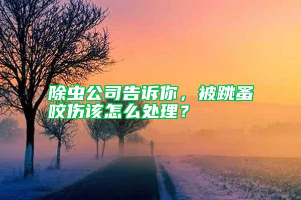 除蟲公司告訴你，被跳蚤咬傷該怎么處理？