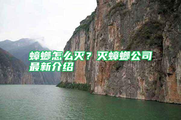 蟑螂怎么滅?滅蟑螂公司最新介紹