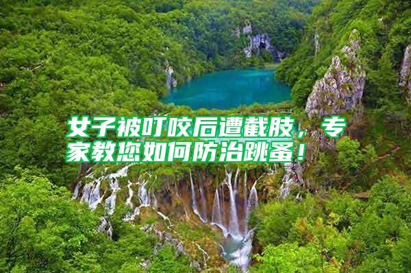 女子被叮咬后遭截肢,專家教您如何防治跳蚤!