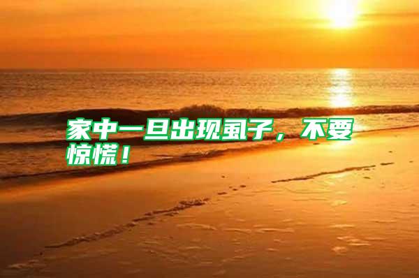 家中一旦出現虱子,不要驚慌!