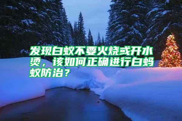 發現白蟻不要火燒或開水燙,該如何正確進行白螞蟻防治?
