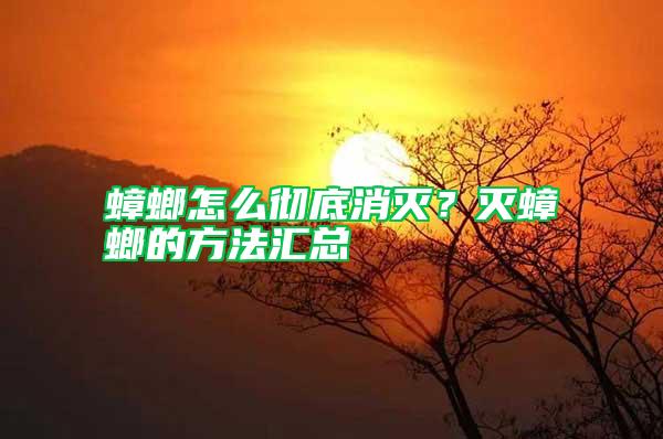 蟑螂怎么徹底消滅？滅蟑螂的方法匯總