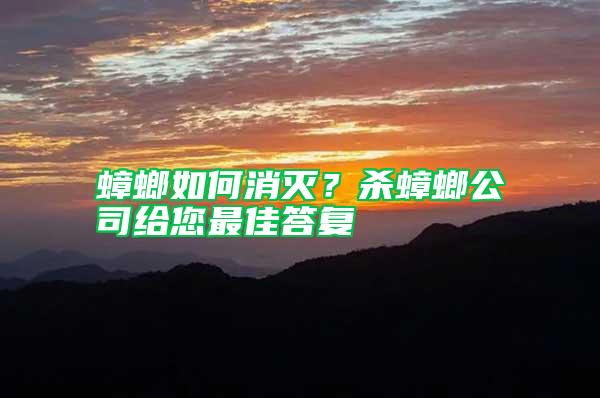 蟑螂如何消滅？殺蟑螂公司給您最佳答復