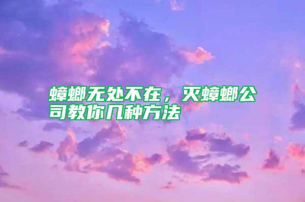 蟑螂無處不在,滅蟑螂公司教你幾種方法